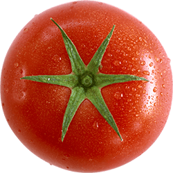 krug-reiki-tomato